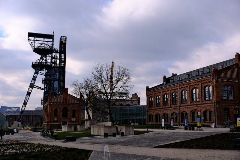 Kwiaciarnie śląskie – Katowice i okolice