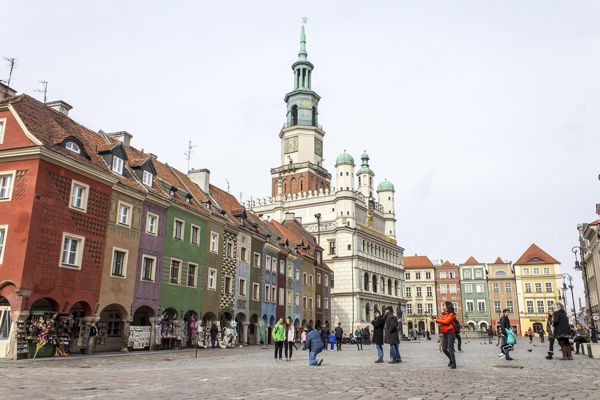 Kwiaciarnie wielkopolskie – Poznań i okolice